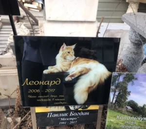 003 Фотоскло табличка для котика