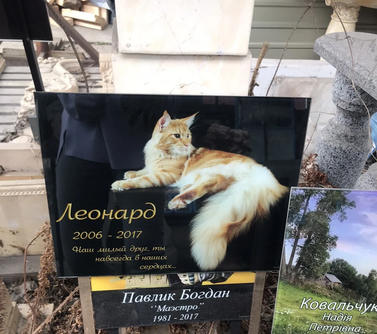 003 Фотоскло табличка для котика
